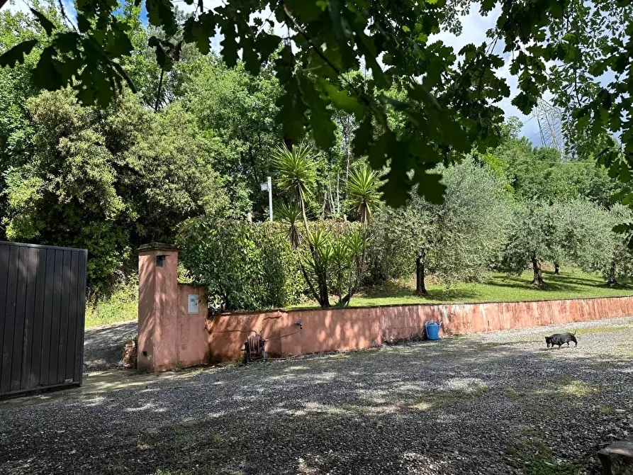 Immagine 65 di Rustico / casale in vendita  a Capannori