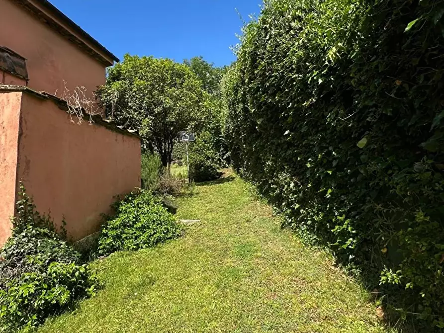 Immagine 59 di Rustico / casale in vendita  a Capannori