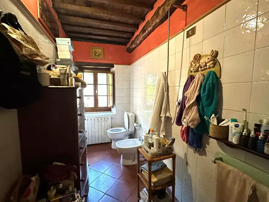 Immagine 21 di Rustico / casale in vendita  a Capannori