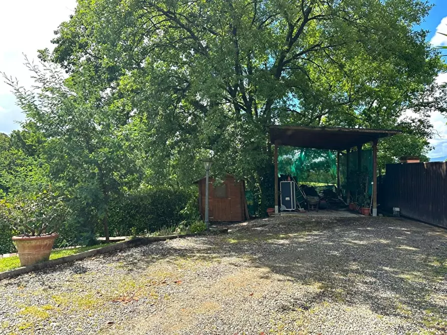 Immagine 64 di Rustico / casale in vendita  a Capannori