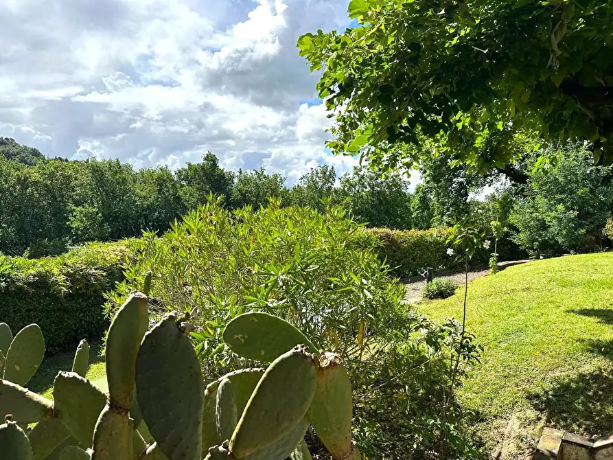 Immagine 61 di Rustico / casale in vendita  a Capannori