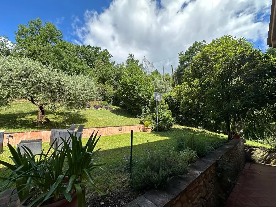 Immagine 58 di Rustico / casale in vendita  a Capannori