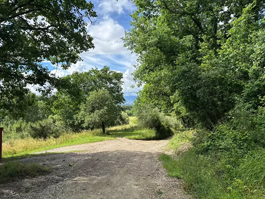Immagine 68 di Rustico / casale in vendita  a Capannori