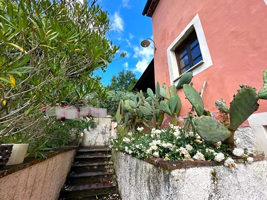 Immagine 54 di Rustico / casale in vendita  a Capannori