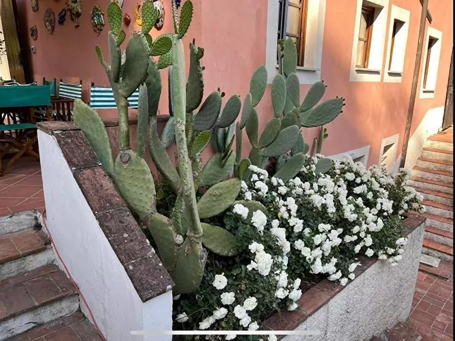 Immagine 6 di Rustico / casale in vendita  a Capannori