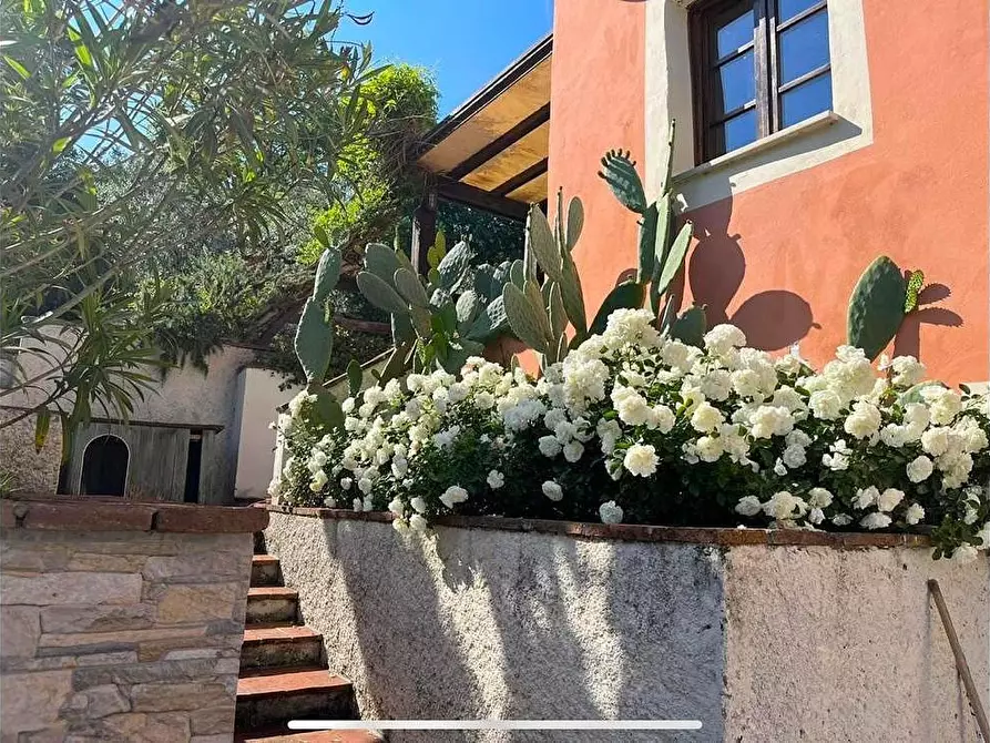 Immagine 2 di Rustico / casale in vendita  a Capannori
