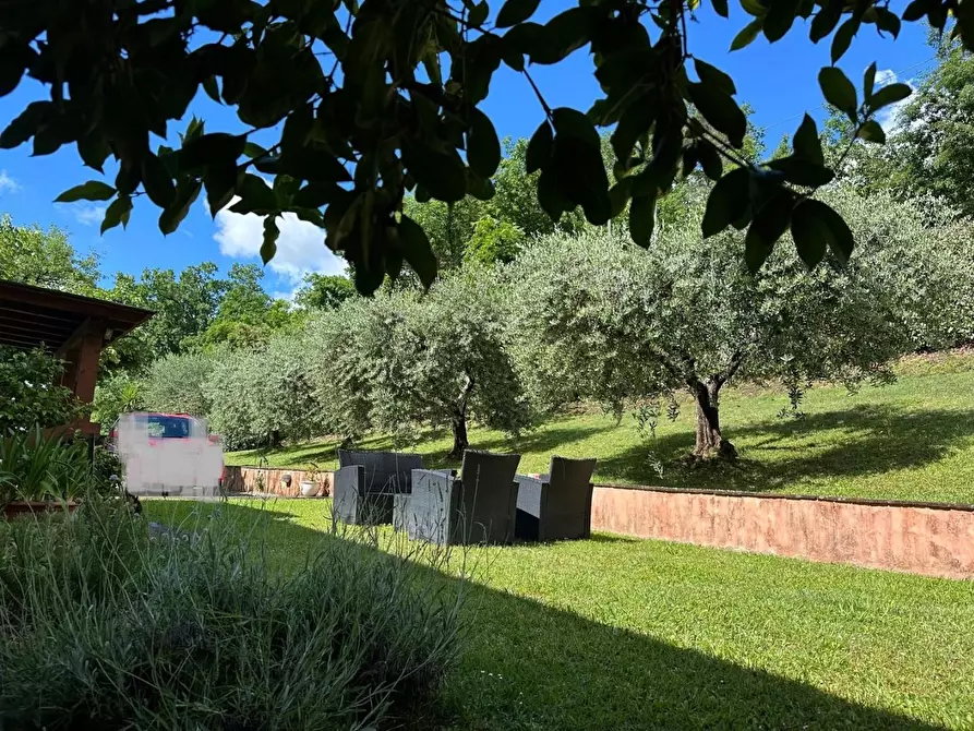 Immagine 60 di Rustico / casale in vendita  a Capannori