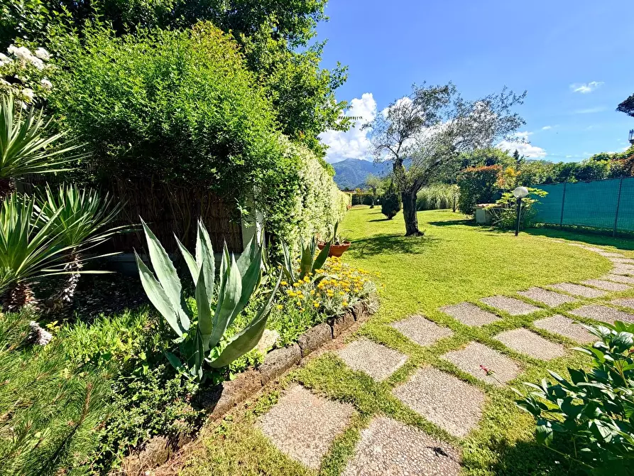 Immagine 8 di Casa bifamiliare in vendita  a Massa