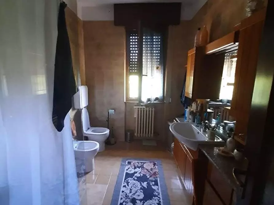 Immagine 6 di Villa in vendita  a San Cipriano Po