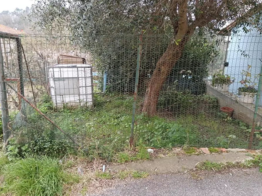 Immagine 47 di Terratetto in vendita  a San Miniato