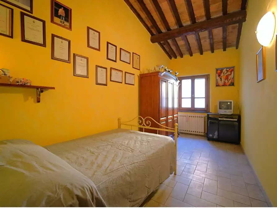 Immagine 25 di Terratetto in vendita  a San Miniato