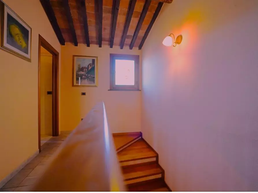 Immagine 45 di Terratetto in vendita  a San Miniato