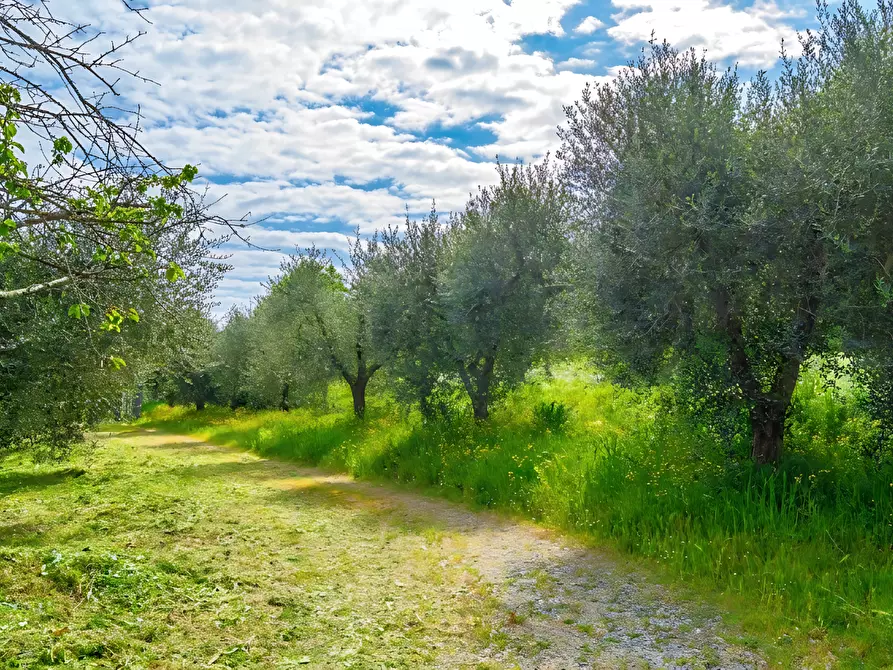 Immagine 17 di Casa indipendente in vendita  a San Miniato