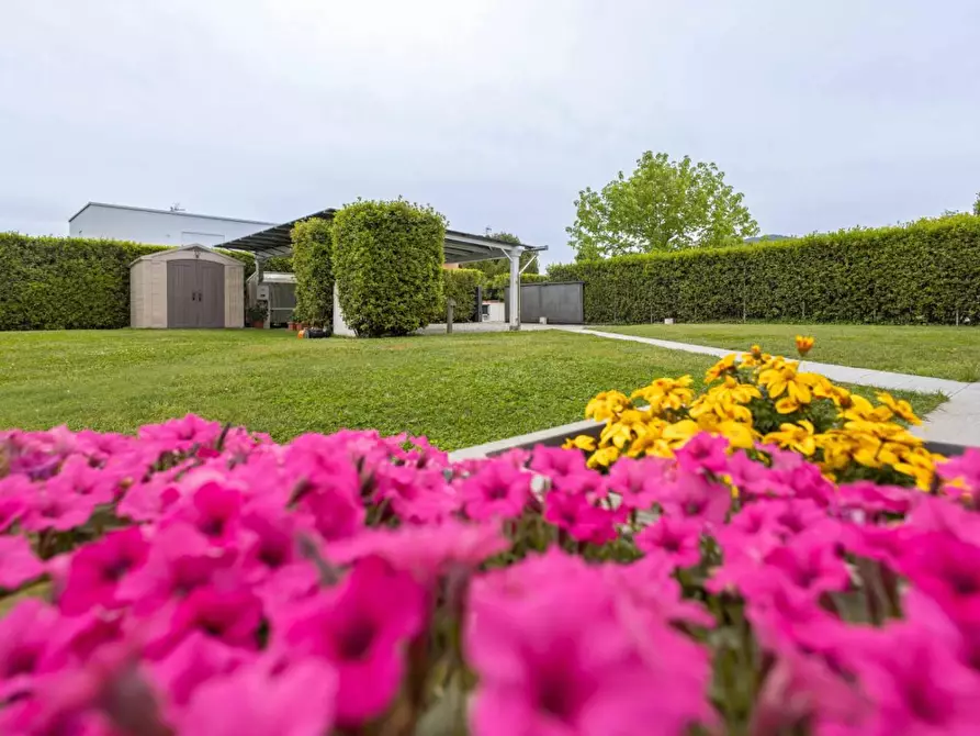 Immagine 6 di Villa in vendita  a Capannori