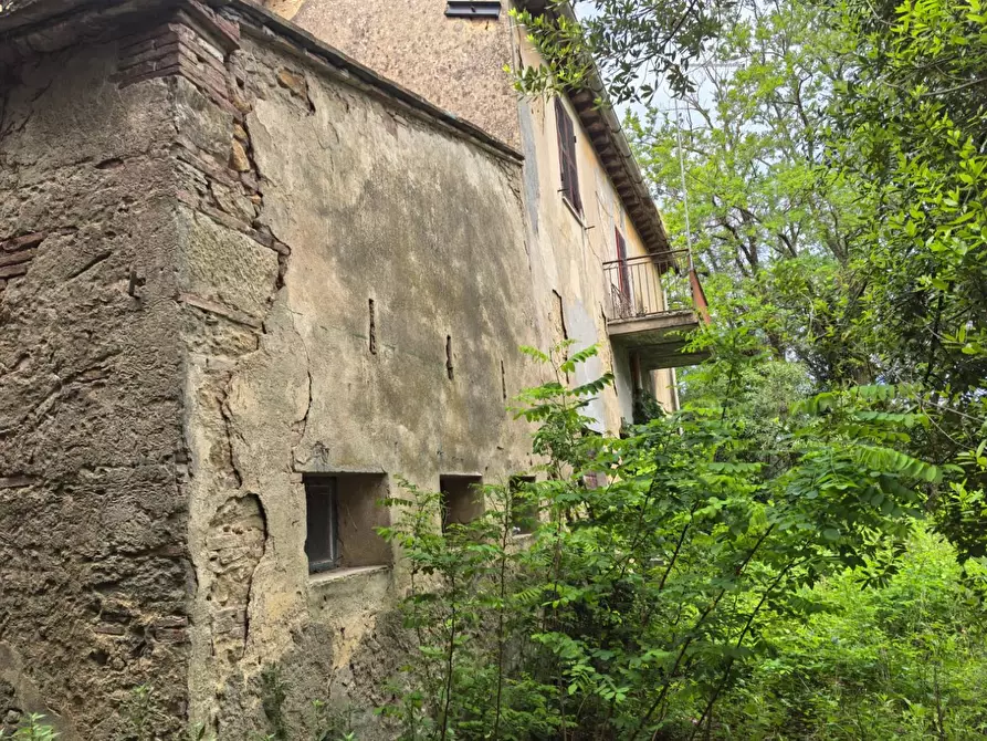 Immagine 5 di Villa in vendita  a Casciana Terme Lari