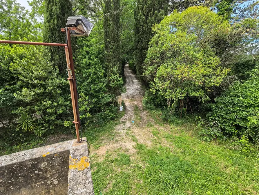 Immagine 38 di Villa in vendita  a Casciana Terme Lari