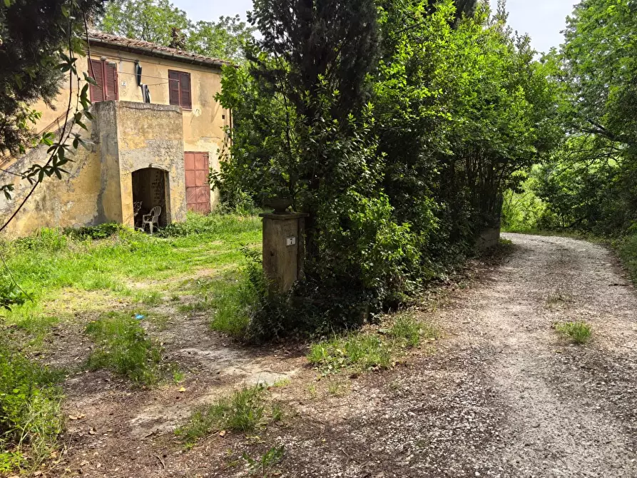 Immagine 39 di Villa in vendita  a Casciana Terme Lari