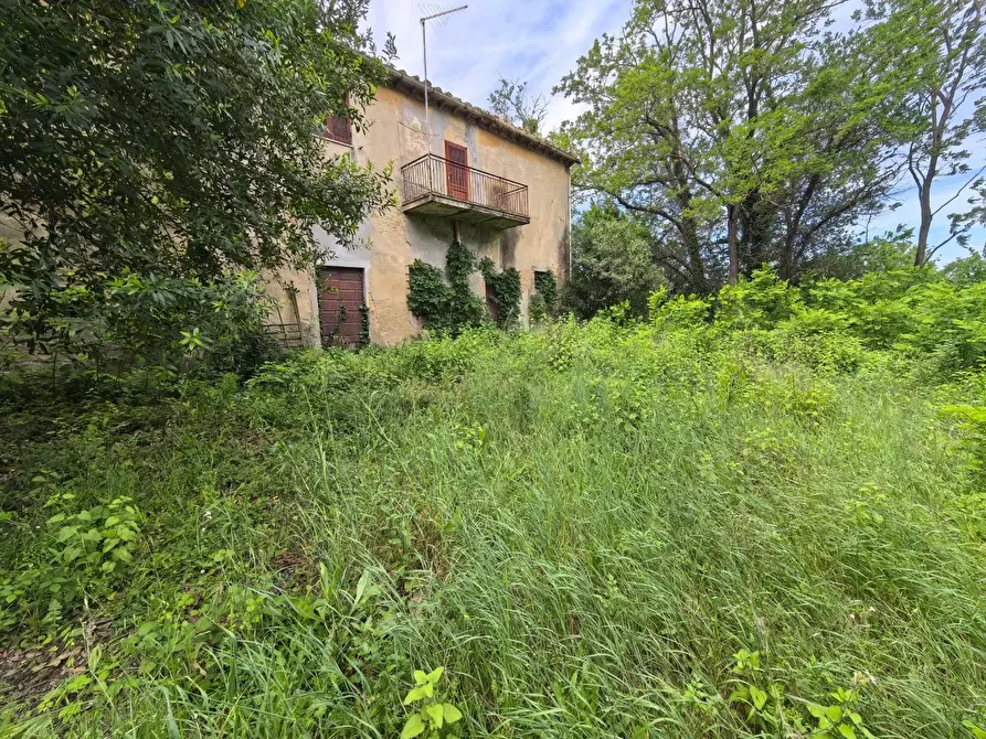 Immagine 1 di Villa in vendita  a Casciana Terme Lari