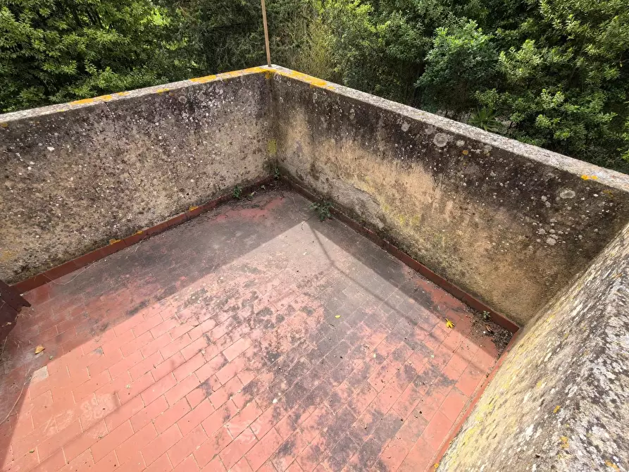 Immagine 37 di Villa in vendita  a Casciana Terme Lari