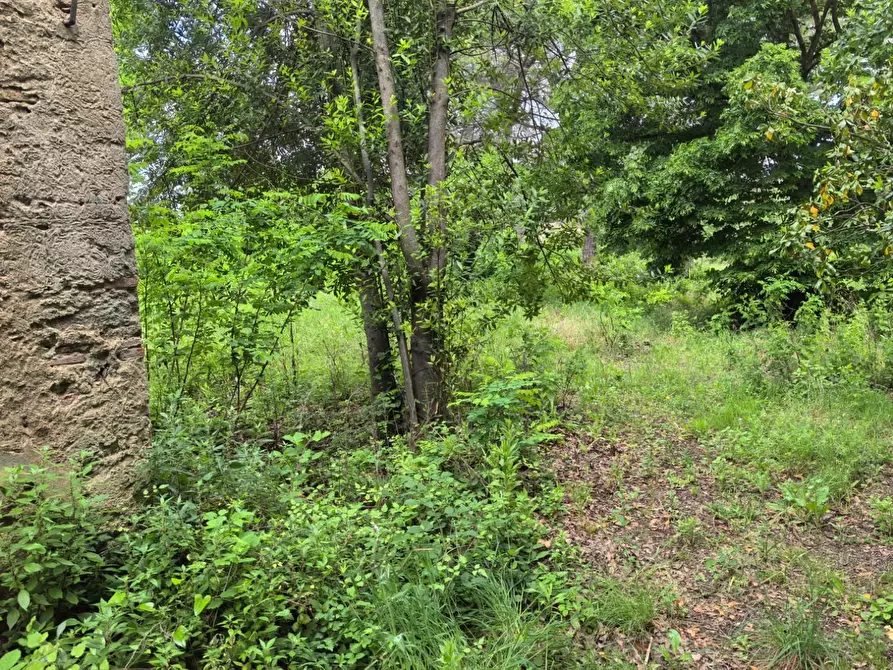 Immagine 4 di Villa in vendita  a Casciana Terme Lari