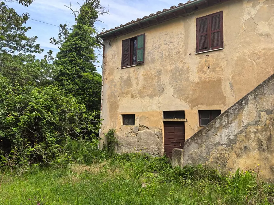Immagine 9 di Villa in vendita  a Casciana Terme Lari