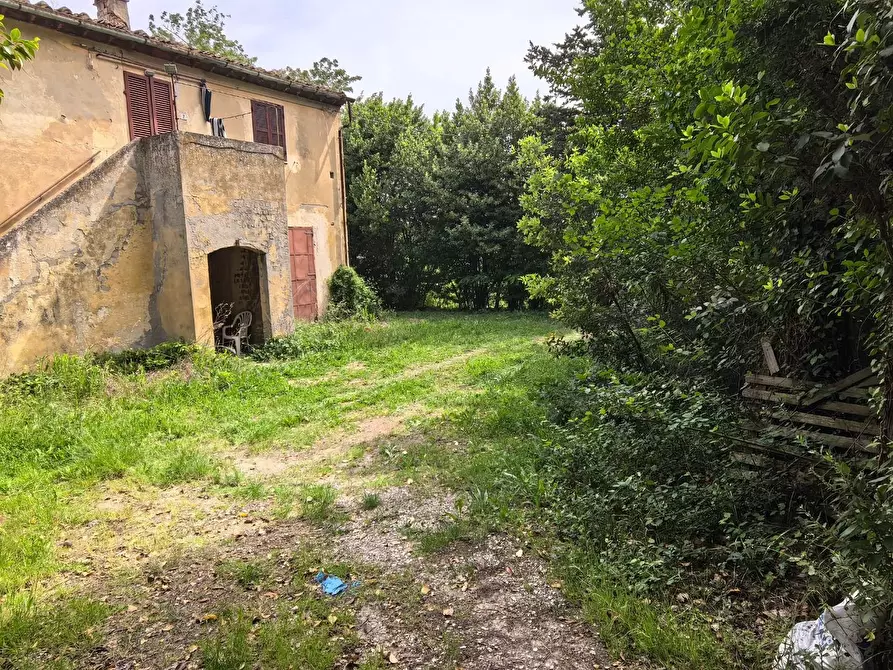 Immagine 41 di Villa in vendita  a Casciana Terme Lari