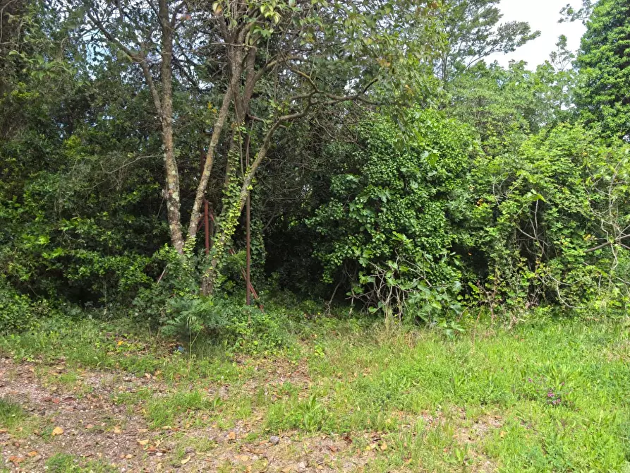 Immagine 11 di Villa in vendita  a Casciana Terme Lari