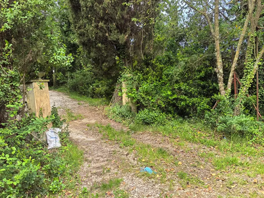 Immagine 10 di Villa in vendita  a Casciana Terme Lari