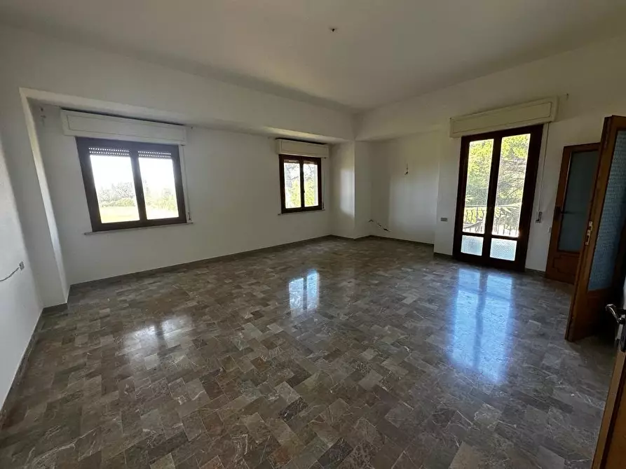 Immagine 4 di Casa indipendente in vendita  a Bibbona