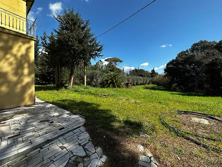 Immagine 2 di Casa indipendente in vendita  a Bibbona