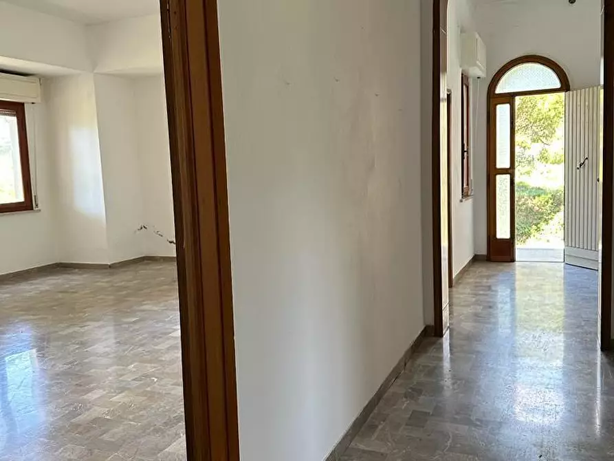 Immagine 7 di Casa indipendente in vendita  a Bibbona