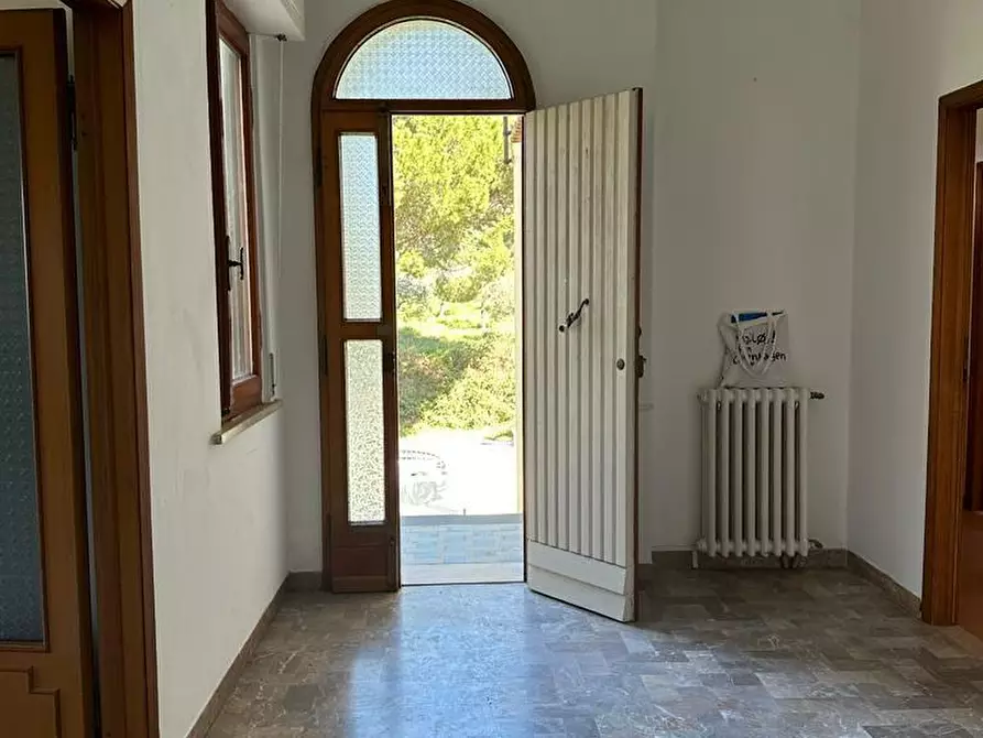 Immagine 6 di Casa indipendente in vendita  a Bibbona