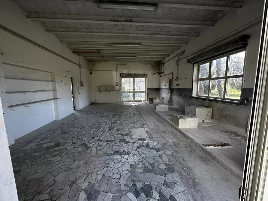 Immagine 9 di Casa indipendente in vendita  a Bibbona