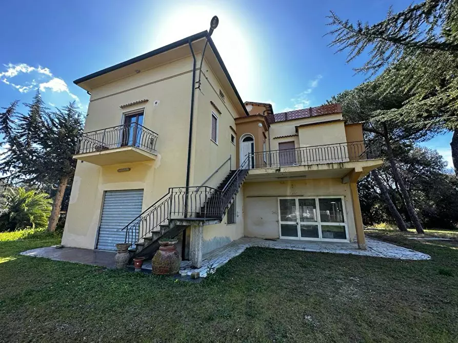 Immagine 3 di Casa indipendente in vendita  a Bibbona