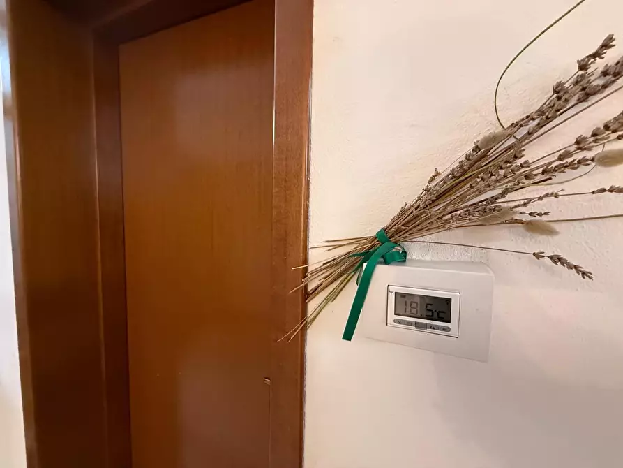 Immagine 4 di Villetta a schiera in vendita  a Terricciola