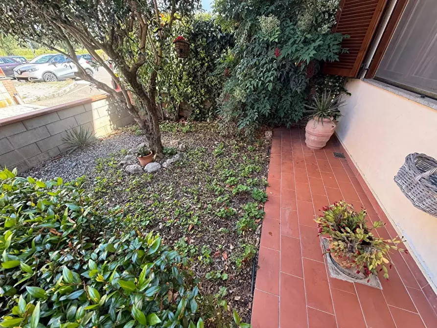 Immagine 21 di Villetta a schiera in vendita  a Terricciola