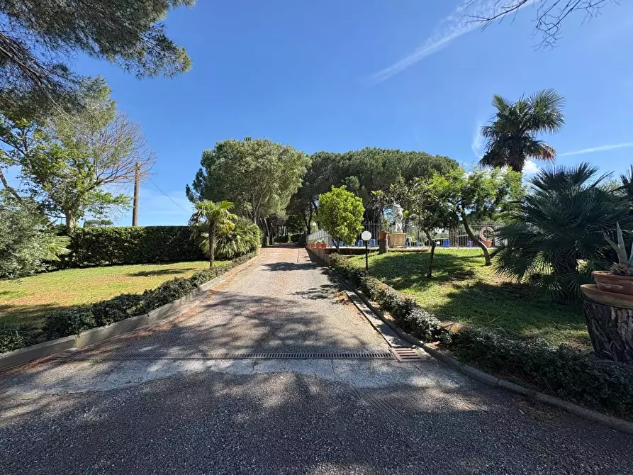 Immagine 5 di Casa colonica in vendita  a Palaia