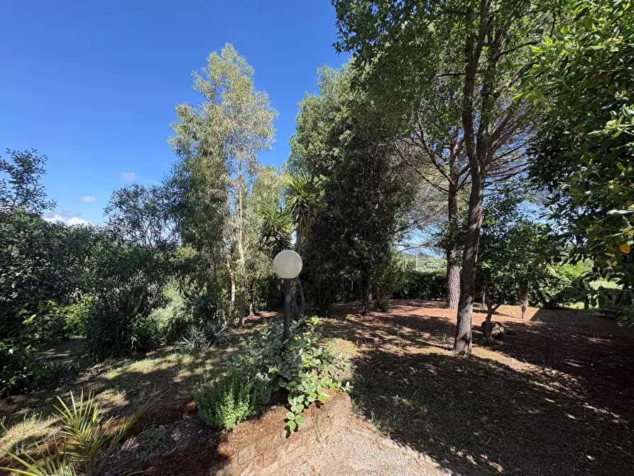 Immagine 14 di Casa colonica in vendita  a Palaia
