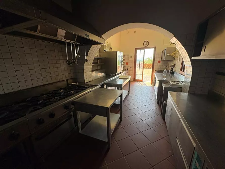 Immagine 28 di Casa colonica in vendita  a Palaia