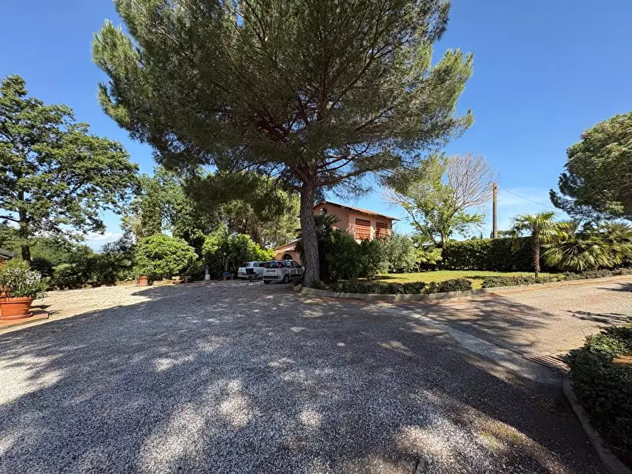 Immagine 4 di Casa colonica in vendita  a Palaia