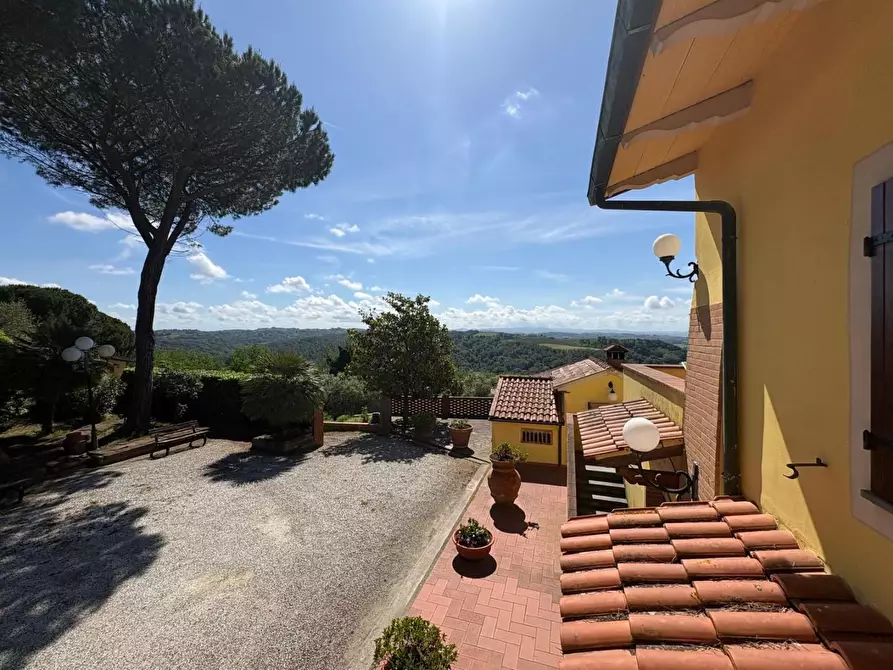 Immagine 3 di Casa colonica in vendita  a Palaia