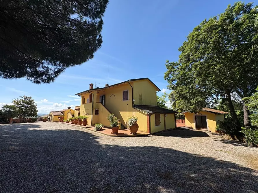 Immagine 2 di Casa colonica in vendita  a Palaia