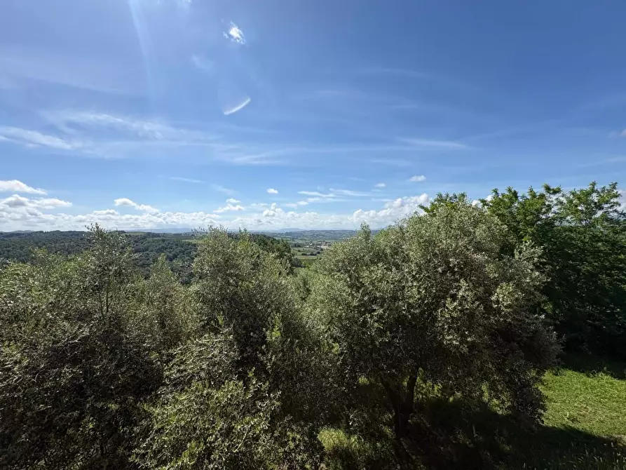 Immagine 32 di Casa colonica in vendita  a Palaia