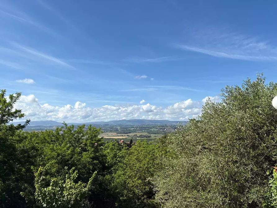 Immagine 15 di Casa colonica in vendita  a Palaia