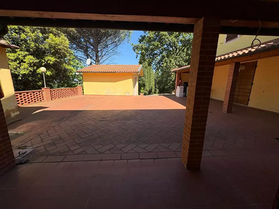 Immagine 12 di Casa colonica in vendita  a Palaia