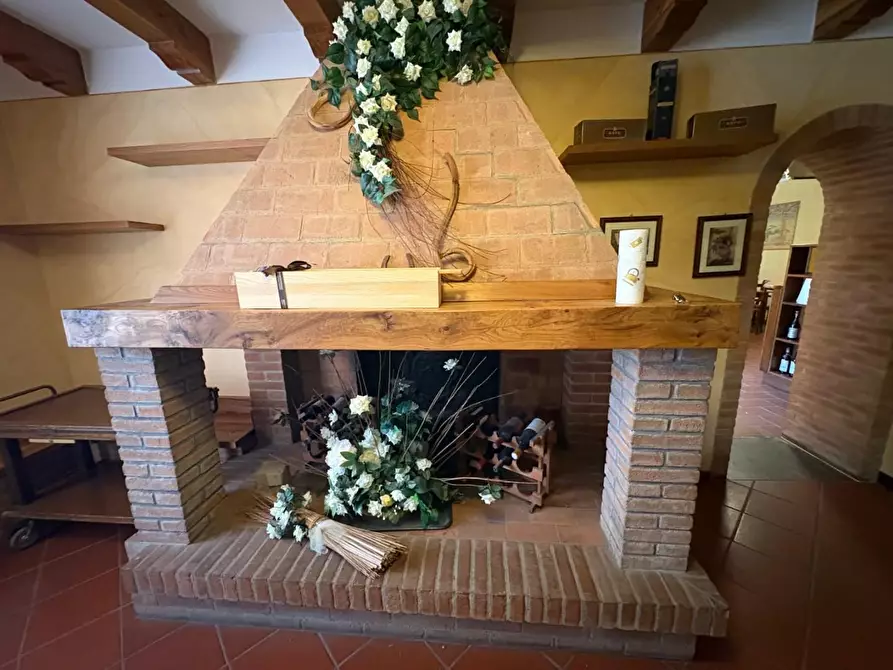 Immagine 25 di Casa colonica in vendita  a Palaia