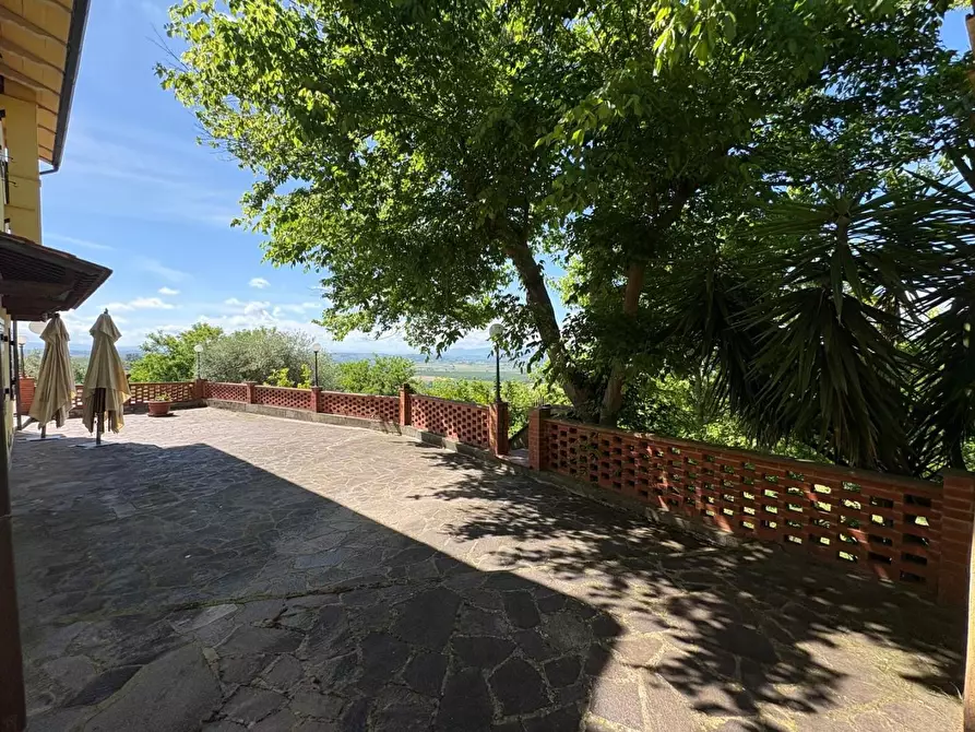 Immagine 8 di Casa colonica in vendita  a Palaia