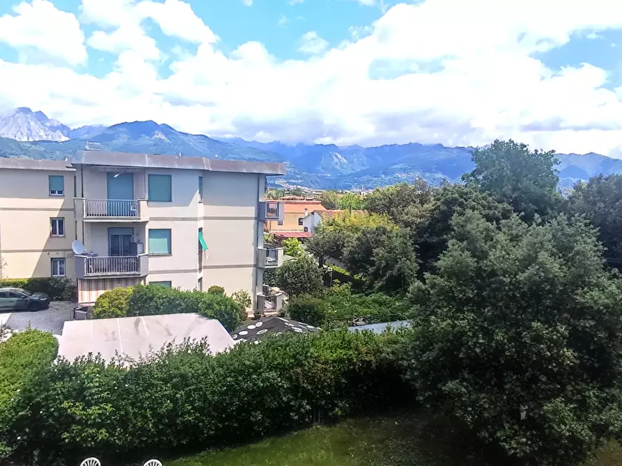 Immagine 3 di Appartamento in vendita  a Massa