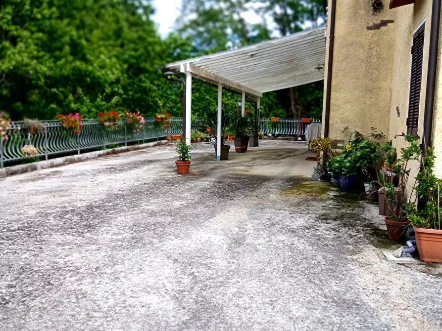 Immagine 16 di Casa indipendente in vendita  a Pietrasanta