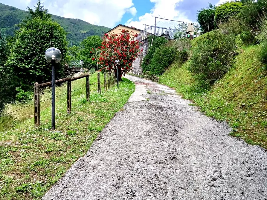 Immagine 11 di Casa indipendente in vendita  a Pietrasanta